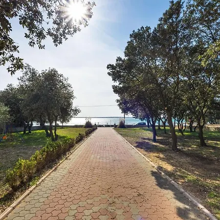 By The Sea - Mulo, Zadar - 5951